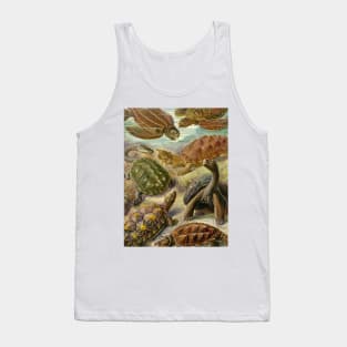 Chelonia - Ernst Haeckel Tank Top